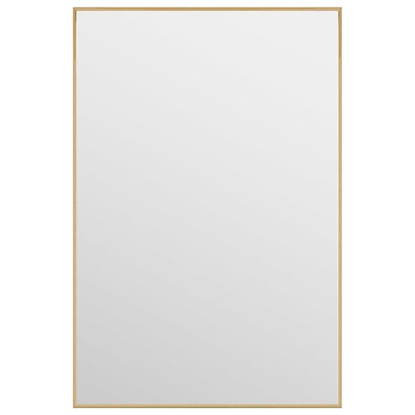 vidaXL Spiegel Türspiegel Golden 40x60 cm günstig online kaufen