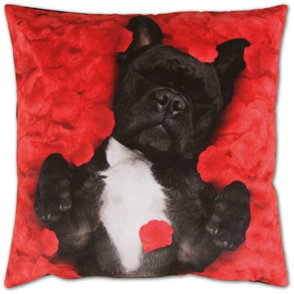 Bestlivings Kissenbezüge Dekokissen Hülle Samt, (1 günstig online kaufen