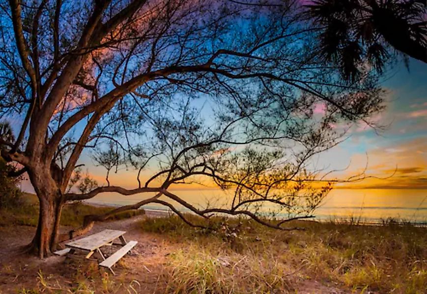 Papermoon Fototapete »BAUM AM STRAND-MEER OZEAN BLUMEN SONNE WIESE FLORIDA« günstig online kaufen