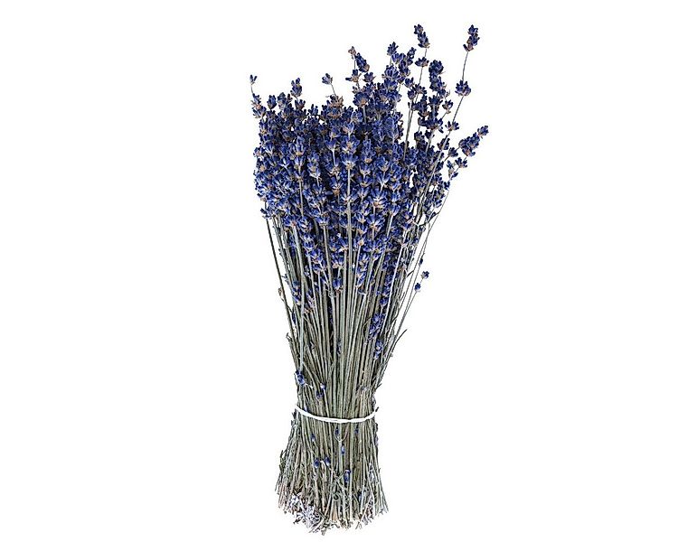 Trockenblume Lavendelstrauß Duftende Trockenblumen Dekoration Provence, Kae günstig online kaufen