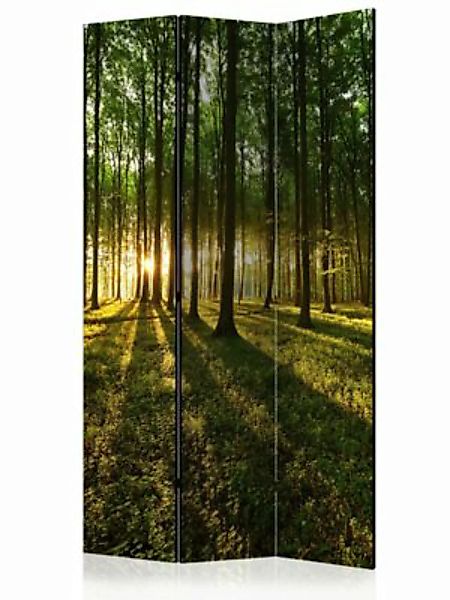 artgeist Paravent Morning in the Forest [Room Dividers] braun-kombi Gr. 135 günstig online kaufen