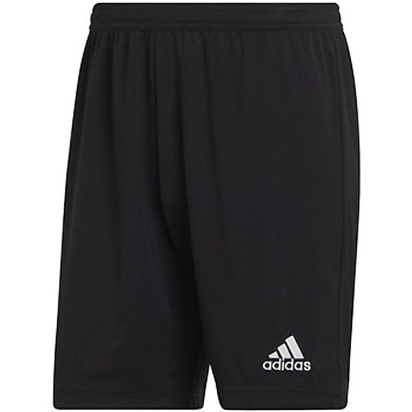 adidas  Shorts - günstig online kaufen