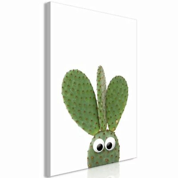 artgeist Wandbild Ear Cactus (1 Part) Vertical mehrfarbig Gr. 40 x 60 günstig online kaufen