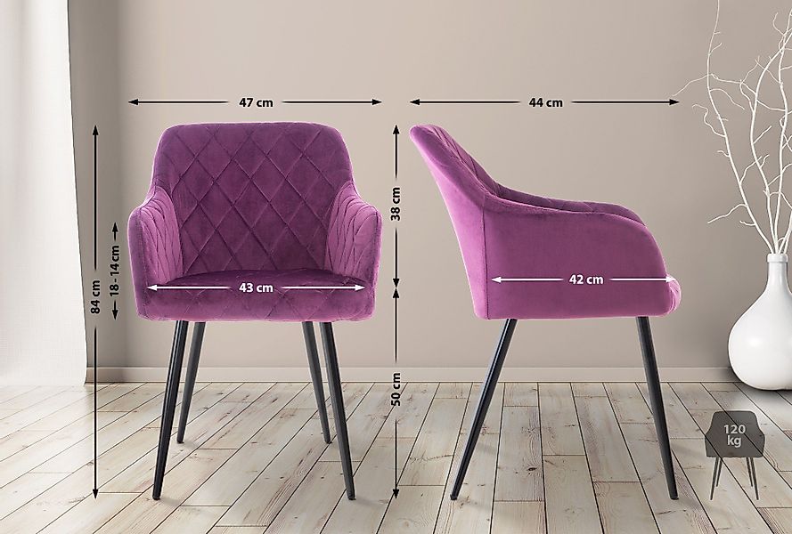 CLP Esszimmerstuhl Shila (2er Set), Samt günstig online kaufen