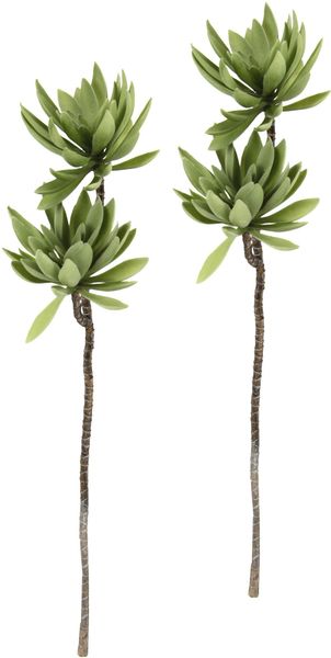 Kunstpflanze Sukkulentenzweig, I.GE.A., Höhe 62 cm, günstig online kaufen