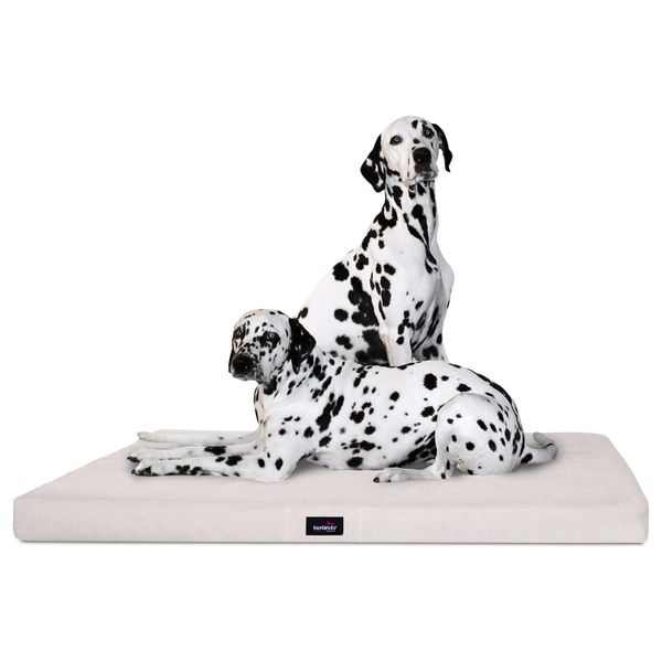 tierlando® Tierbett Orthopädische Hundematratze ALICE VISCO günstig online kaufen