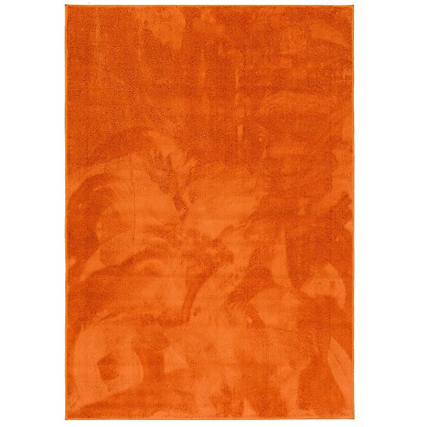 Snapstyle Hochflor-Teppich Luxus Super Soft Hochflor günstig online kaufen