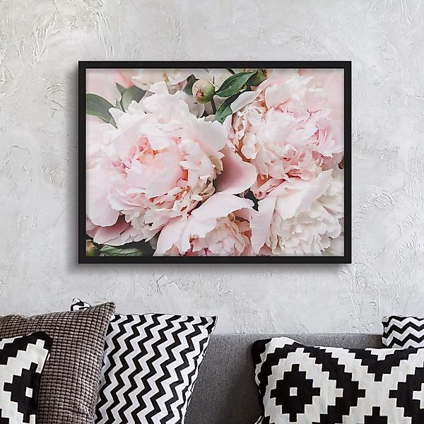 Bild mit Rahmen Blumen - Querformat Pfingstrosen Hellrosa günstig online kaufen
