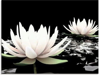 Artland Glasbild "Zwei Lotusblumen auf dem Wasser" 1 Stk. tlg. in verschied günstig online kaufen