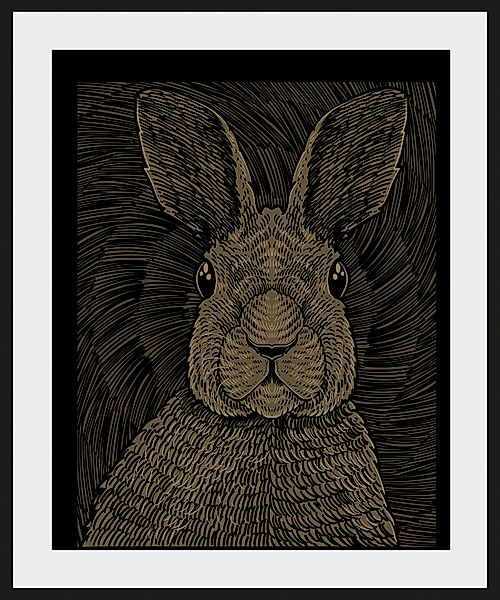 queence Bild »Aladin«, Hase-Hasen-Haustiere-Kunst-Schwarz-Weiß, (1 St.), HD günstig online kaufen