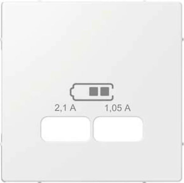Merten Zentralplatte pws/glanz f.USB Ladest.Einsatz MEG4367-0319 günstig online kaufen