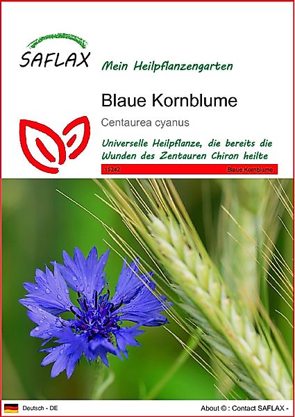 SAFLAX Blumensamen SAFLAX - Samen - günstig online kaufen