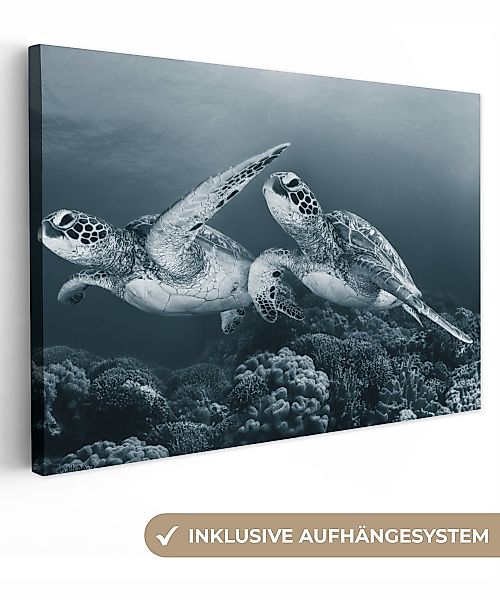 OneMillionCanvasses® Leinwandbild Schildkröte - Meerestiere - günstig online kaufen