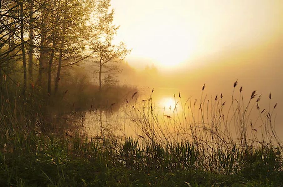 Papermoon Fototapete »Stunning Foggy Landscape« günstig online kaufen