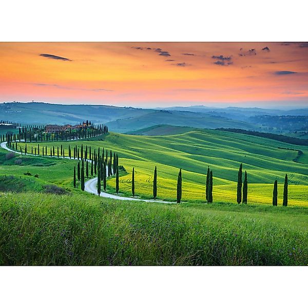 Fototapete Toskana Landschaft Grün Orange Gelb 3,50 m x 2,55 m FSC® günstig online kaufen