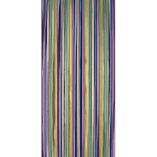 Streifenvorhang Brilliant Bunt 90 cm x 200 cm günstig online kaufen