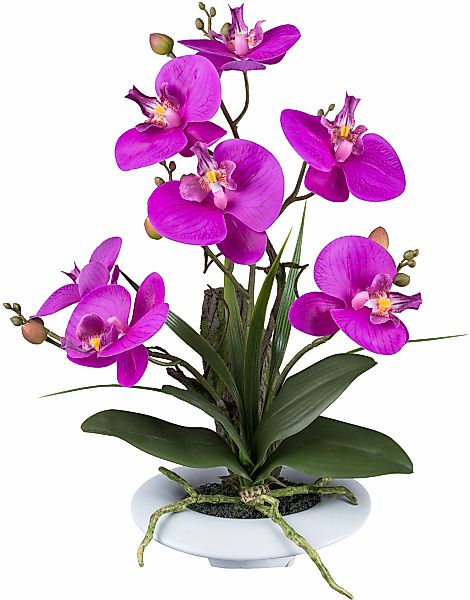 Creativ green Kunstorchidee "Orchidee Phalaenopsis", in außergewöhnlicher K günstig online kaufen