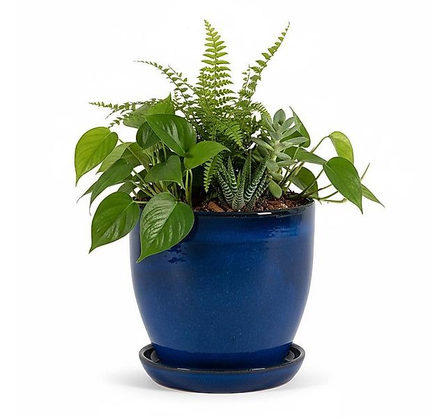 Teramico Pflanzkübel Blumentopf aus Keramik Modell "EggPot" 27cm Royal Blau günstig online kaufen
