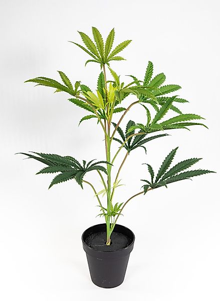 Kunstpflanze Hanfpflanze / Cannabispflanze 50cm im günstig online kaufen