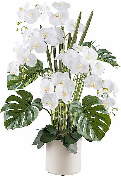 Creativ green Kunstorchidee »Orchidee Phalaenopsis«, mit Gräsern und Splitp günstig online kaufen