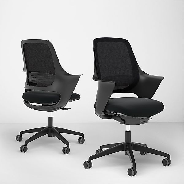 Ergotopia Bürostuhl WellBack ergonomischer Schreibtischstuhl mit günstig online kaufen