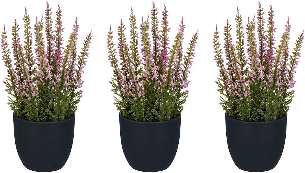 Kunstpflanze Heidepflanze, Creativ green, Höhe 17 cm, mit detailgetreuer Ge günstig online kaufen