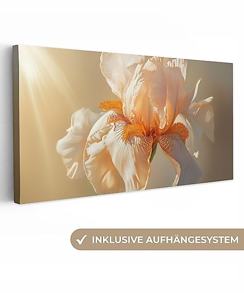OneMillionCanvasses® Leinwandbild Panorama Nahaufnahme - Orange günstig online kaufen