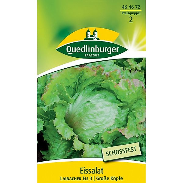 Quedlinburger Eis Salat ''Laibacher Eis 3'' günstig online kaufen