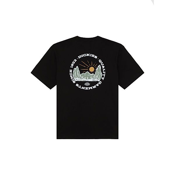 Dickies T-Shirt Outdoor SS günstig online kaufen