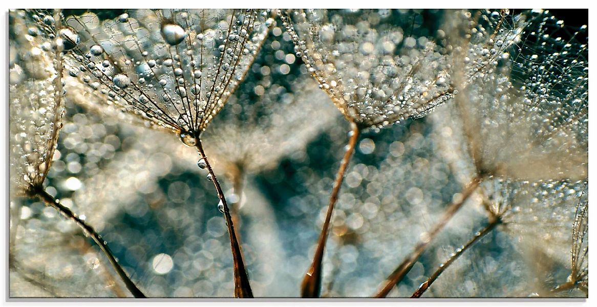 Artland Glasbild "Pusteblume Regenschauer", Blumen, (1 St.), in verschieden günstig online kaufen