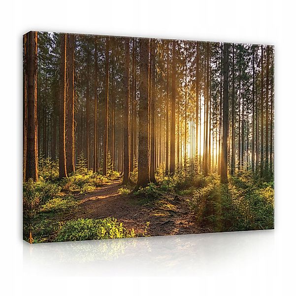 Wallarena Leinwandbild Wald Sonne Natur Grün Wandbild Groß Wandbilder Leinw günstig online kaufen