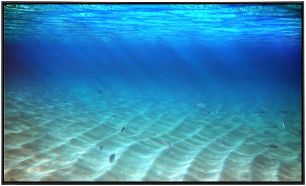 Papermoon Infrarotheizung »Meeresboden«, sehr angenehme Strahlungswärme günstig online kaufen