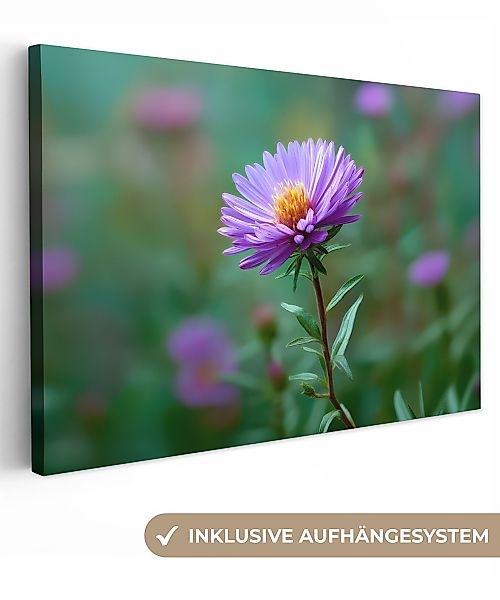 OneMillionCanvasses® Leinwandbild Aster - Lila - günstig online kaufen