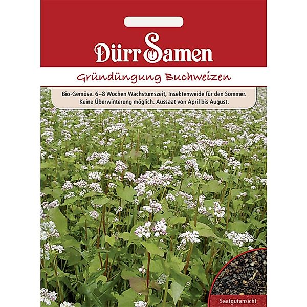 Dürr Samen Gründüngung Buchweizen 50 G Saatgut günstig online kaufen