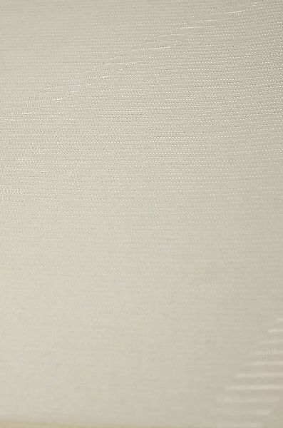 Neutex for you! Schiebegardine »BEAM«, (1 St.), Abstraktes Muster günstig online kaufen
