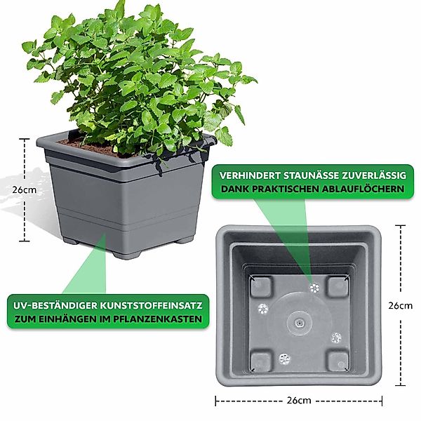 Endorphin Blumenkasten Pflanzkasten 2er Set aus günstig online kaufen