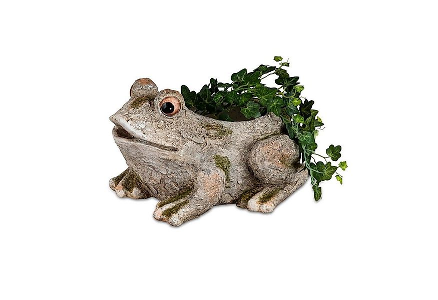 formano Pflanzkübel Pflanzgefäß Steinoptik Frosch (Stück, 1 St., 1 Pflanzge günstig online kaufen
