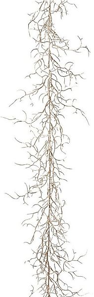 Winterliche Kunstpflanze Weihnachtsdeko, Weihnachtsgirlande Dornen, Creativ günstig online kaufen