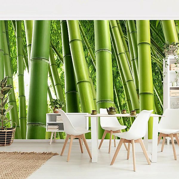 Bilderwelten Fototapete Bamboo Trees grün Gr. 384 x 255 günstig online kaufen
