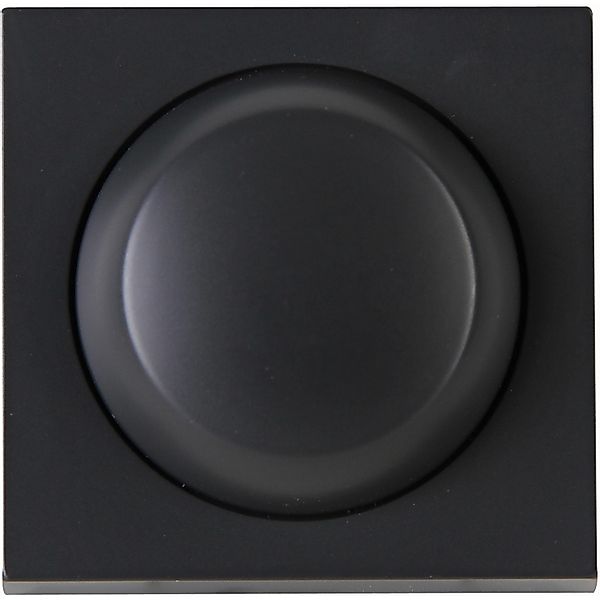 Kopp Dimmer Anthrazit günstig online kaufen