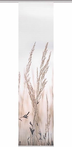 Vision S Schiebegardine "SCHIEBEVORHANG DIGITALDRUCK BAMBUS-OPTIK RELVA" Pa günstig online kaufen