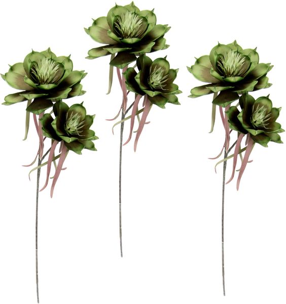 Kunstblume Soft-Magnolie, I.GE.A., Höhe 84 cm, günstig online kaufen