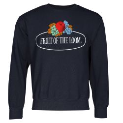 Fruit of the Loom Sweatshirt Sweatshirt günstig online kaufen