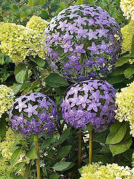 Paulslandhaus Gartenstecker Pflanzstecker Allium Lila Grün Beetstecker Gart günstig online kaufen