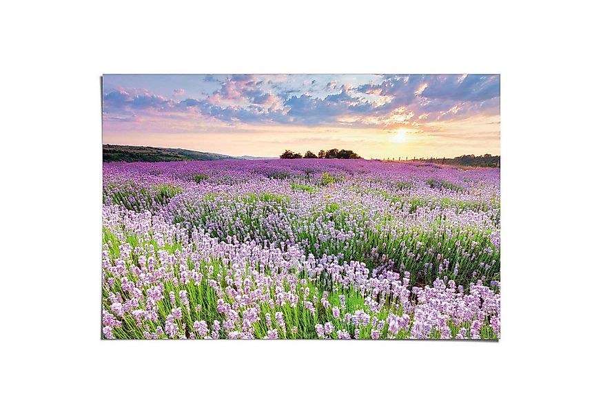 Reinders! Poster Lavendelfeld, Hobbyraum - Lila - 150 gr. Papier - Blumen u günstig online kaufen