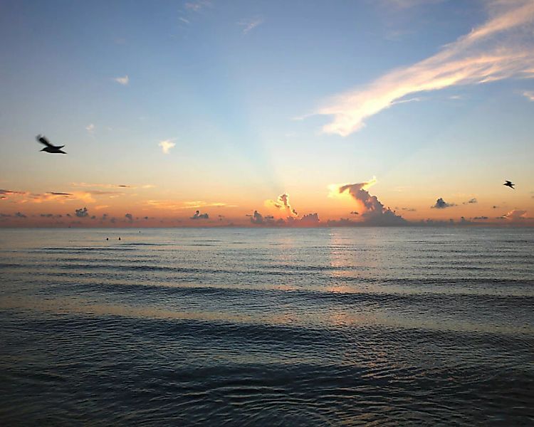 Fototapete "Miami Beach" 4,00x2,50 m / Glattvlies Perlmutt günstig online kaufen