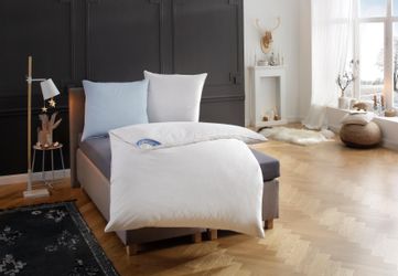 RIBECO Federbettdecke Leon, Ballonbettdecke 135x200, Füllung: günstig online kaufen