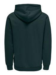 ONLY & SONS Kapuzensweatshirt ONSCERES HOODIE günstig online kaufen