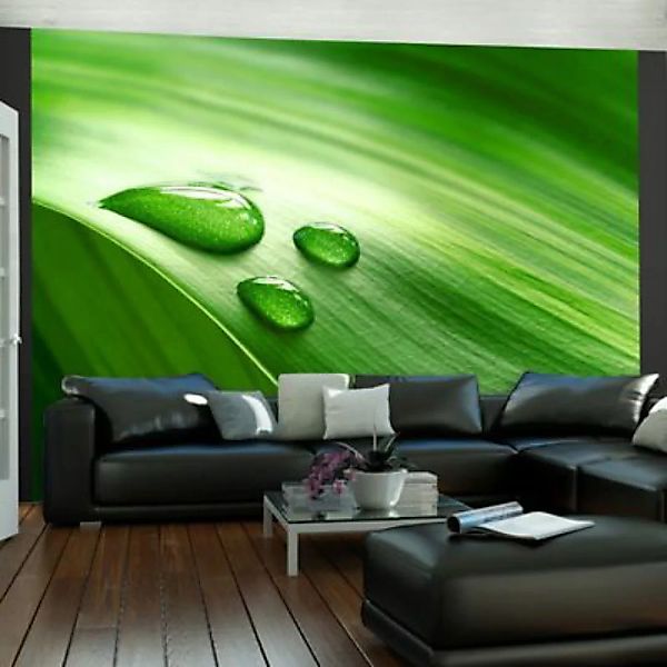 artgeist Fototapete Ein Blatt und drei Wassertropfen grün Gr. 350 x 270 günstig online kaufen