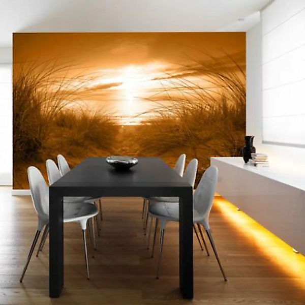 artgeist Fototapete Strand (Sepia) sand Gr. 250 x 175 günstig online kaufen